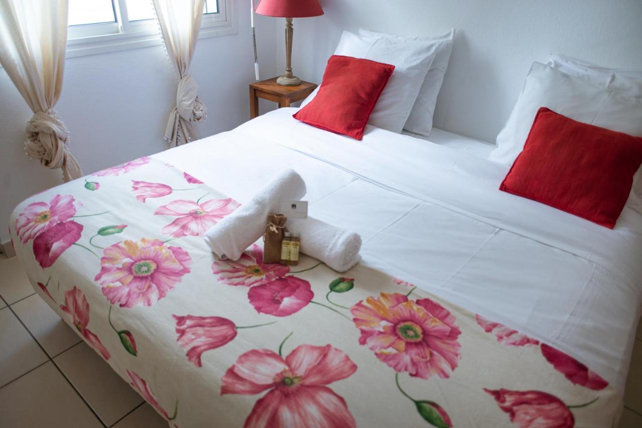 L'Aviateur T2 Centre Ville Jardin L'Etat Сен Дьони Екстериор снимка